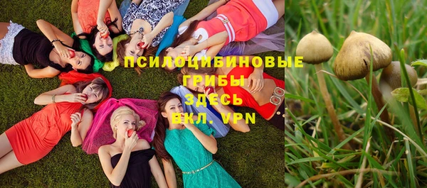 гашик Беломорск