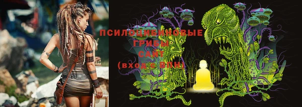 амф Белокуриха