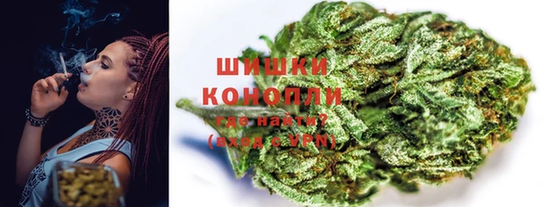 амф Белокуриха