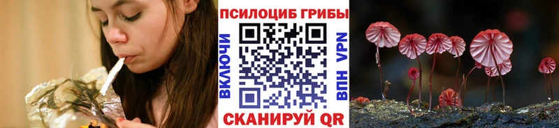 Псилоцибиновые грибы Psilocybine cubensis  Высоковск 